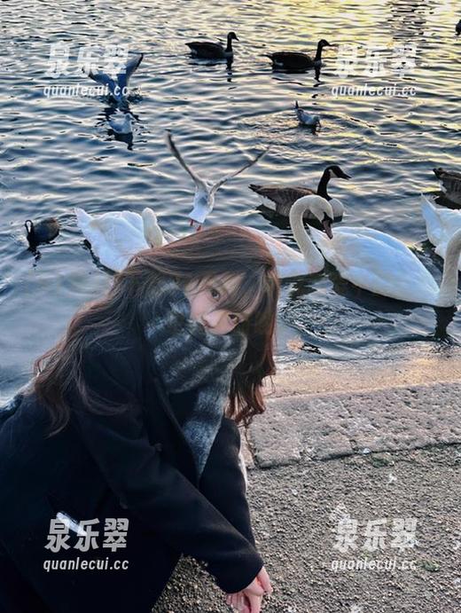 下载91黑料，听说恋爱中的苦瓜也能变甜哟。