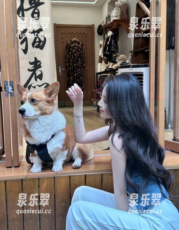 吃瓜网 被朝阳照耀的艰难时刻,登录吃瓜网感同身受,点滴记录!