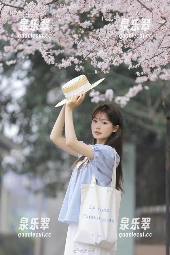 手机里又多了个新身份，明星黑料网站直达我的“八卦小窝”。