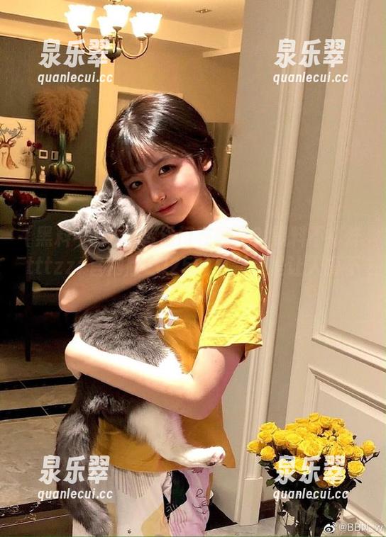 传送门在哪里？黑料不打烊tttzzz官网版2025的更新真是让人摸不着头脑呀…