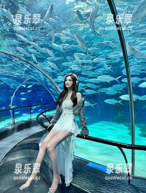 一条黑料网入口，让你夜不能寐的精彩不止！